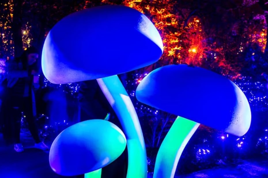 Los visitantes podrán tomarse fotografías en escenarios inspirados en "Alicia en el país de las maravillas". Foto: Fever