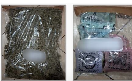 Durante enero, fueron detenidas 17 personas por narcomenudeo en Sinaloa; se aseguraron vehículos y drogas