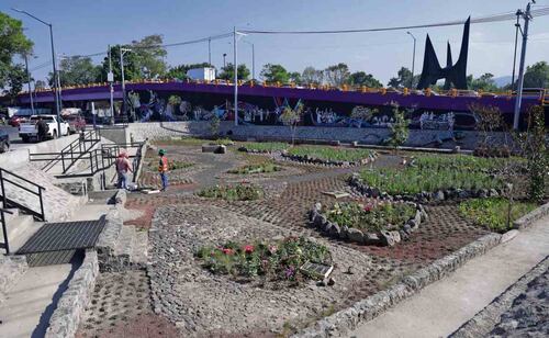 Jardín de Lluvia
Permitirá infiltrar agua pluvial y prevenir inundaciones en las colonias de los alrededores del estadio. Foto: Fernanda Rojas / EL UNIVERSAL
