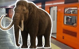 ¿Un mamut dentro del Metro CDMX? El secreto bajo la estación Talismán de la Línea 4