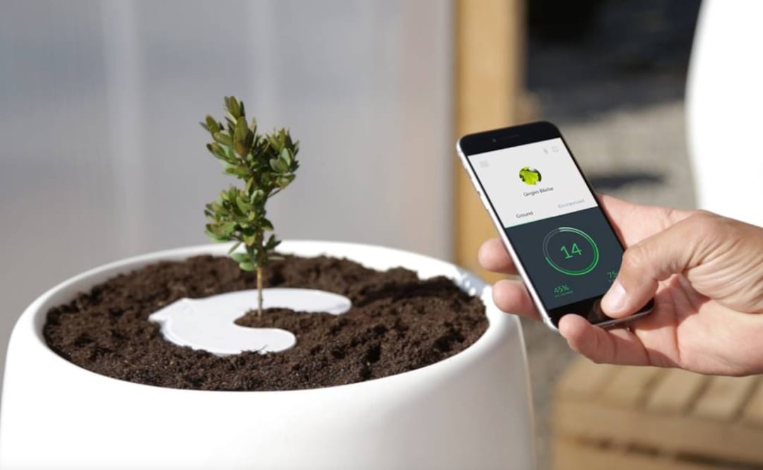 La incubadora de unos 76 centímetros de alto por 33 cm de diámetro. Foto: EFE