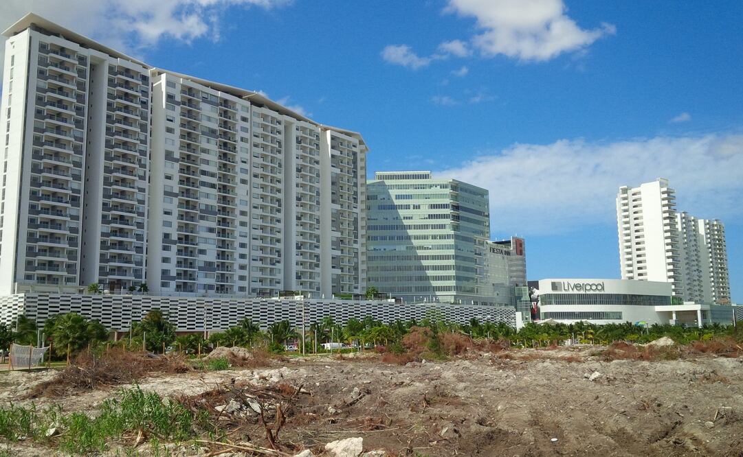 Foto: Adriana Varillas / El Universal