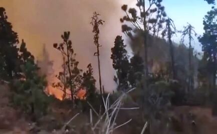 Muere menor de edad por incendio en Santa María Peñoles, Oaxaca; es la tercera víctima