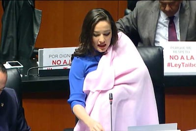 Desde escaño senadora rechaza Ley Taibo mientras carga a su bebé