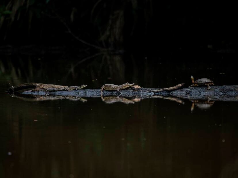 Foto: Eduardo Peraza