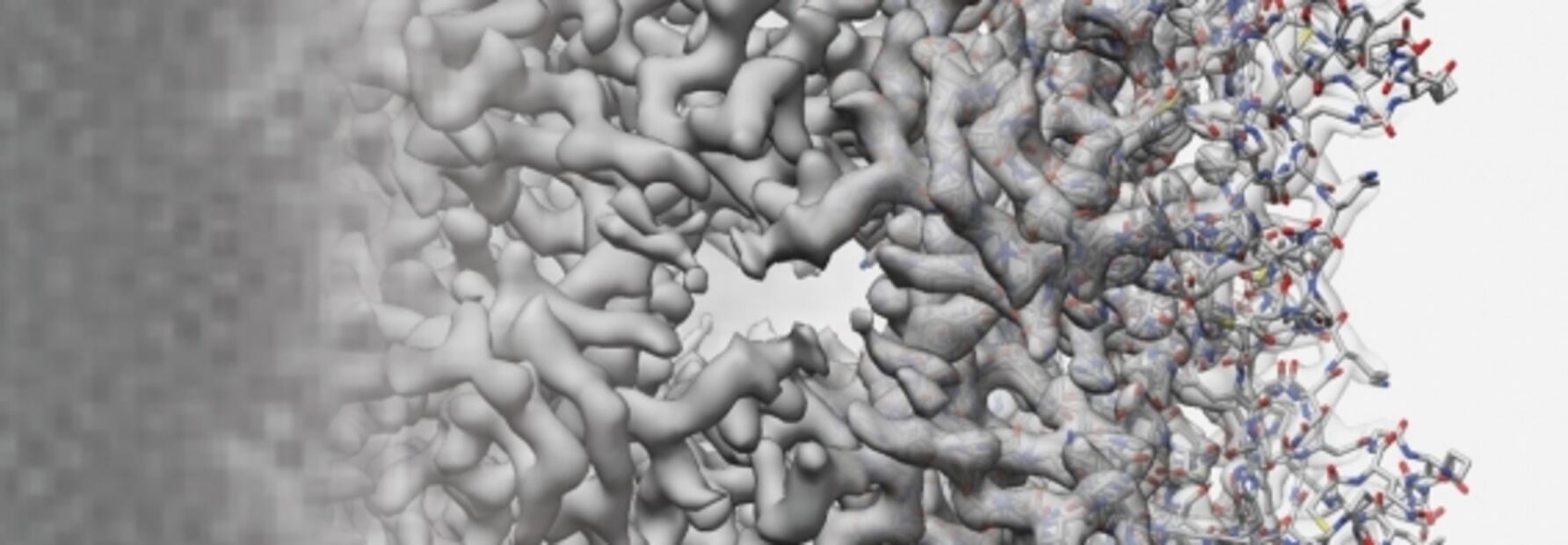 Nueve descubrimientos que cambiaron la ciencia en 2020 