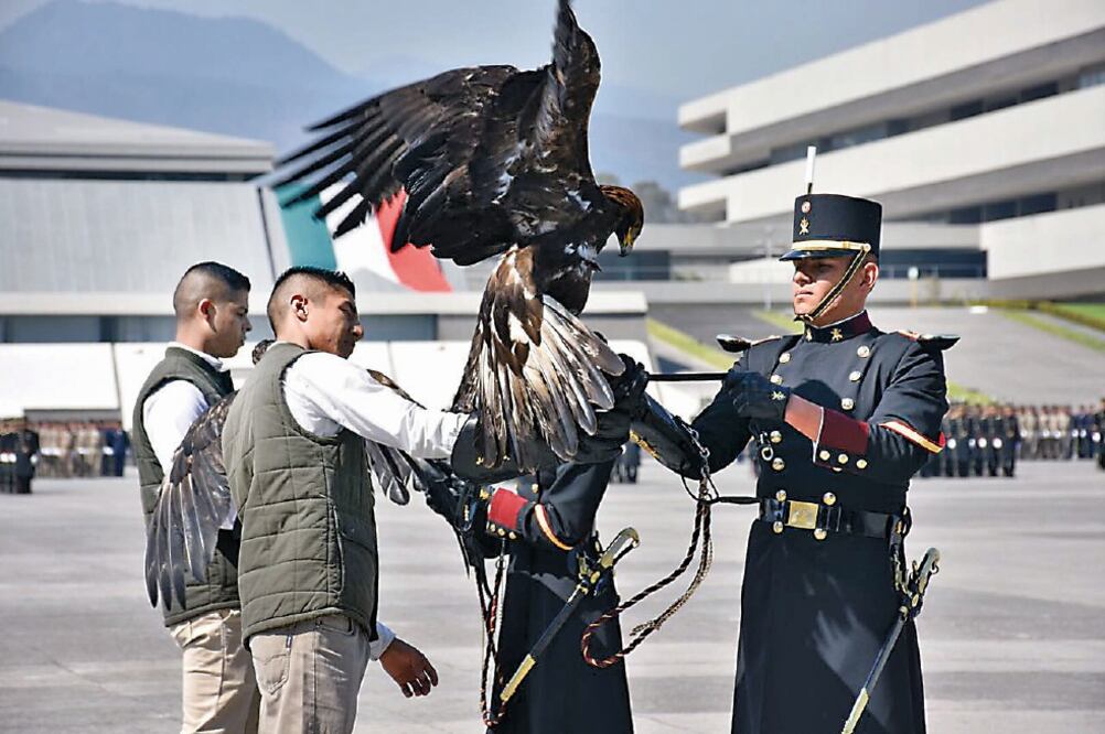 Sedena hará centro para proteger águila real en el Colegio Militar