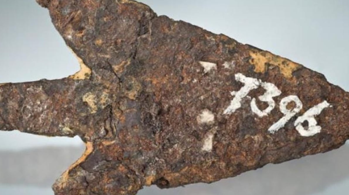 Foto: Tomada del "Journal of Archaeological Science".