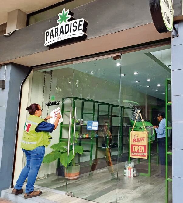 Tras cerrar la tienda Paradise, Cofepris informó que se aseguraron más de mil 811 objetos que contienen CBD, semillas de cáñamo, así como extractos de cannabis. Foto: Tomada de Twitter