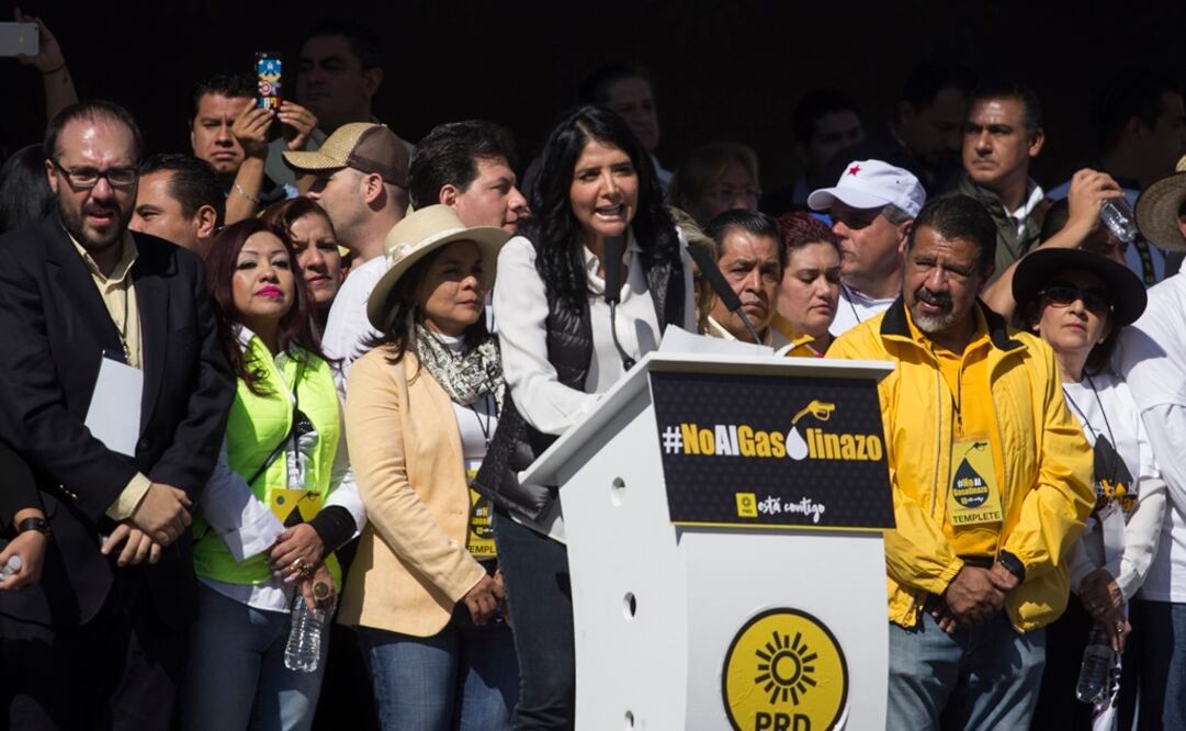 La presidenta nacional del PRD, Alejandra Barrales Magdaleno, anunció que interpuso un amparo personal contra el gasolinazo ante el Juzgado de Distrito en Materia Administrativa (Foto: Archivo / EL UNIVERSAL)