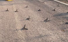 Ponchallantas inundan carreteras de México y la web