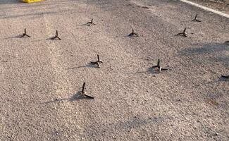 Ponchallantas inundan carreteras de México y la web