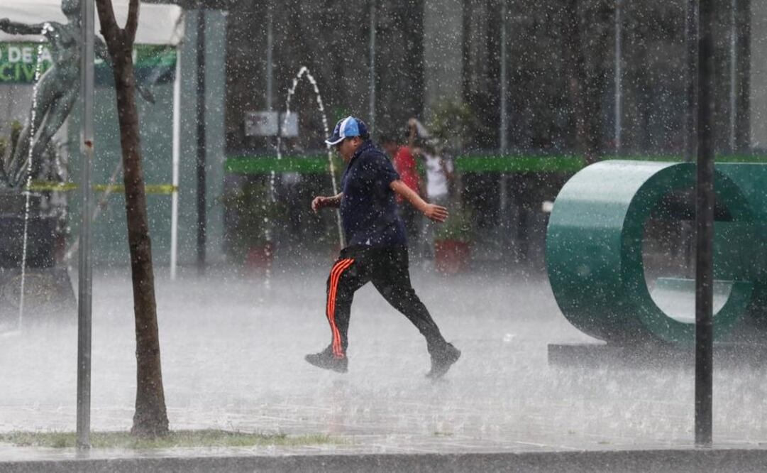 Foto: Diego Simón Sánchez. EL UNIVERSAL