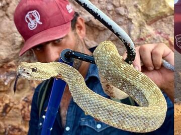 Critican a Arturo Islas por buscar likes