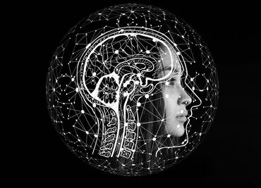 ¿Cómo ayuda la IA para alertar de tsunamis?