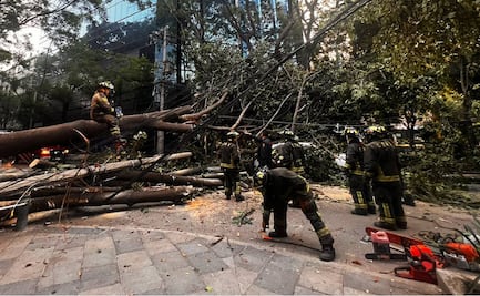 EN VIVO MXM Reporte vial de lo que pasa hoy, viernes 9 de junio, en la CDMX con Isidro Corro