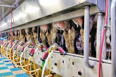 Con engaños se llevan a universitarios a EU, acusan