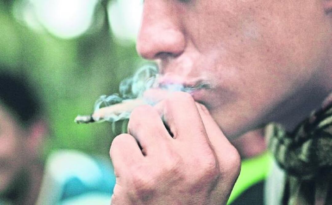 91% of the participants said that they would not try marijuana even if it was legal. (Photo: Archive/El Universal)