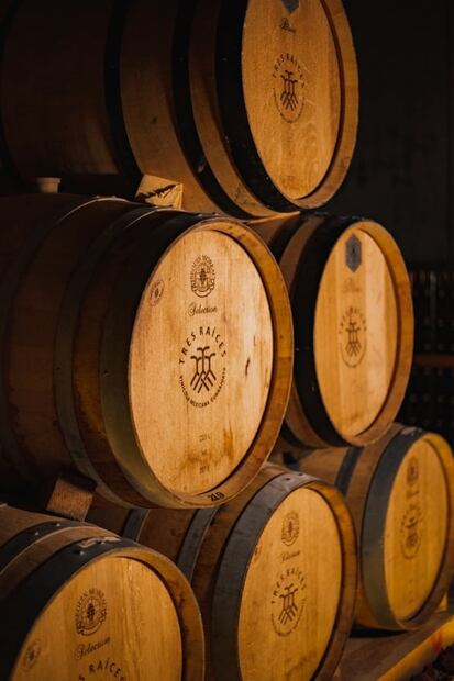 #COLUMNA Dolores Hidalgo, tierra de grandes vinos guanajuatenses