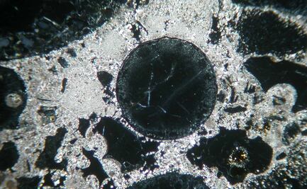 En el cráter de Chicxulub detectan un antiguo ecosistema subterráneo