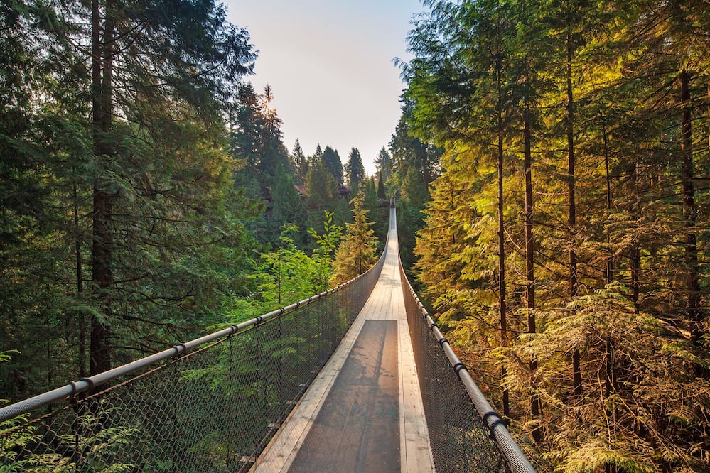 Capilano Bridge. (Foto: Cortesía)
