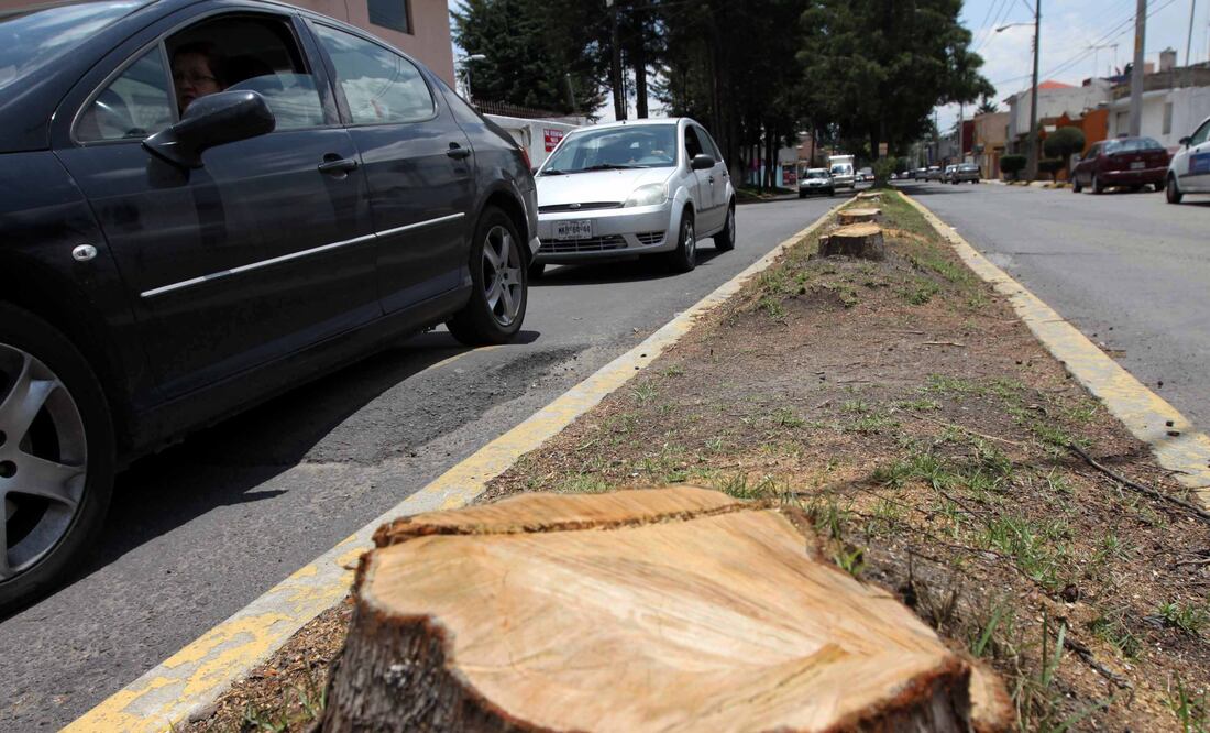 Foto: Archivo/ EL UNIVERSAL