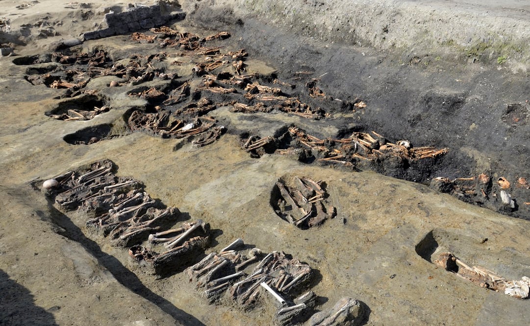 En la imagen, los huesos humanos hallados en la "Tumba Umeda" en Osaka, Japón. Foto: Asociación de Propiedades Culturales de la Ciudad de Osaka vía AP