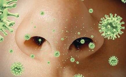 Tips para prevenir alergias en tu oficina