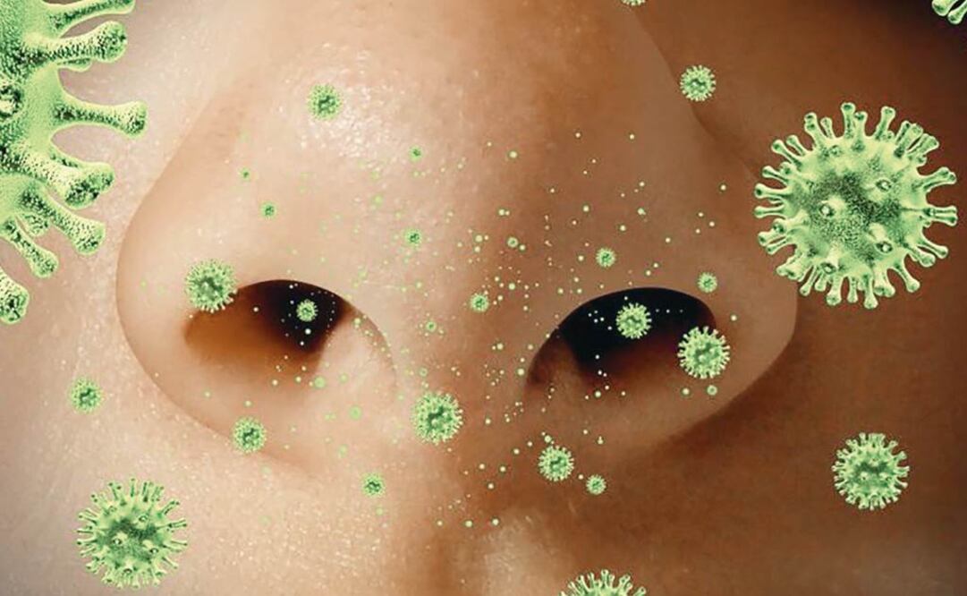 Tips para prevenir alergias en tu oficina