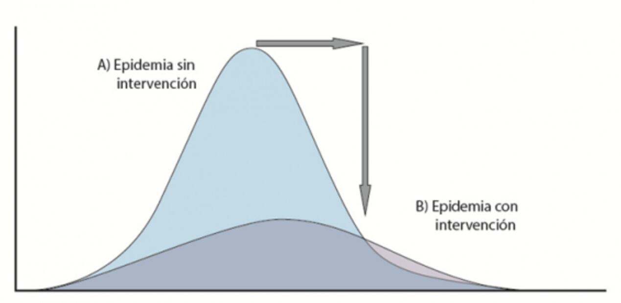 Covid-19: llegó el lobo