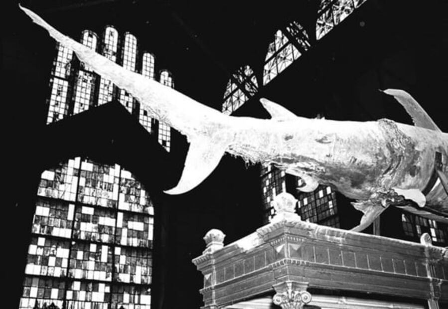 El Chopo: de pabellón japonés a museo universitario