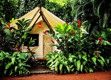 3 tiendas de campaña en México, con cama king y baño privado