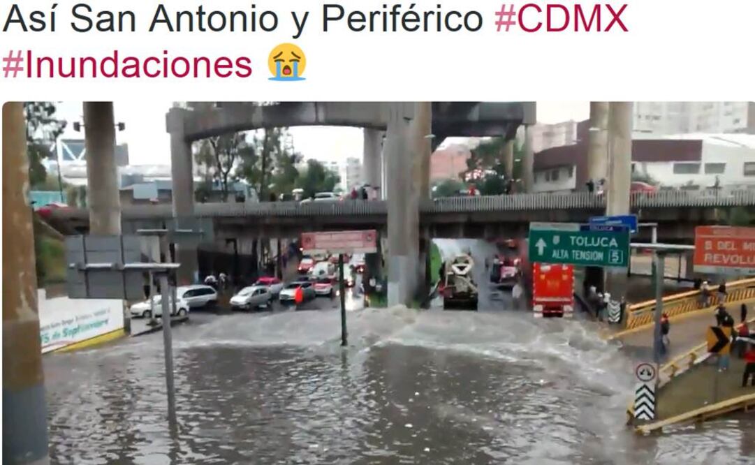 Cortesía Fernanda Luevano