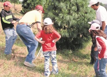 ¿En qué gastamos los mexicanos en Navidad?