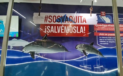 Así es el Festival de los Océanos en la estación La Raza del Metro