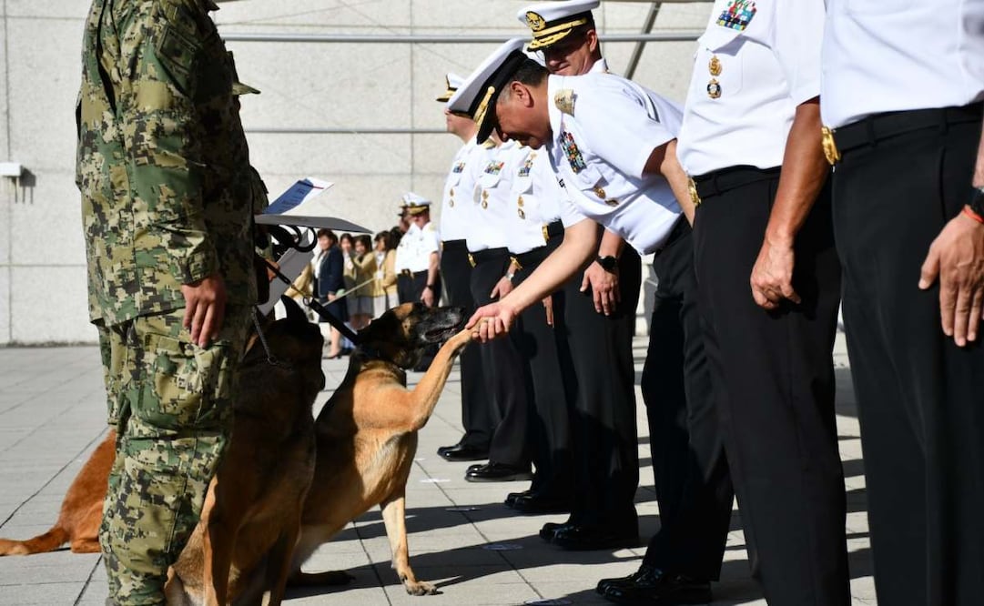 Semar rinde homenaje a Niko, Hunter e Hidra, elementos caninos que concluyen su servicio. Foto: Especial