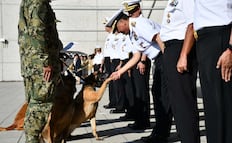 Semar rinde homenaje a Niko, Hunter e Hidra, elementos caninos jubilados; realiza ceremonia "Héroes de Cuatro Patas"