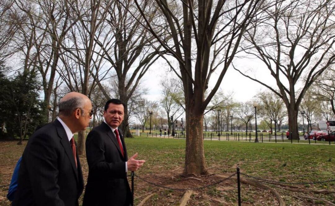 Fotografía del secretario de Gobernación en su cuenta de Twitter