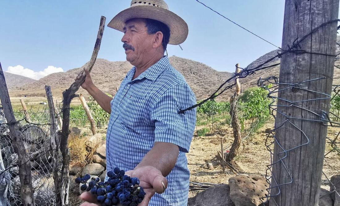 Foto: Kimberly Flores / El Universal