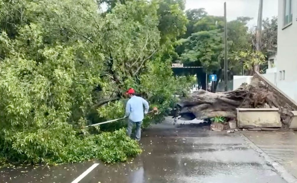 Tormenta invernal y frente frío provocan lluvias en Culiacán; protección civil emiten recomendaciones.
Foto: Especial.