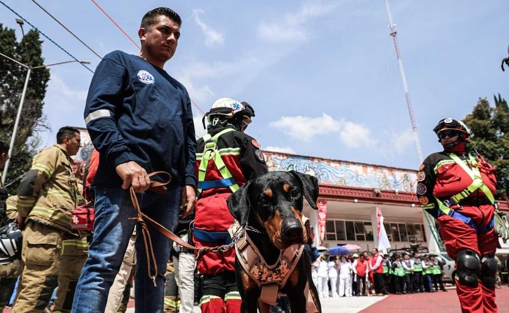 Realizaron la localización de una persona en un escenario de derrumbe con el apoyo de binomios caninos. 19/09/2026. | Foto: Gabriel Pano/El Universal.