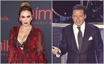 Luis Miguel ni sus luces, Aracely Arámbula confiesa que no llamó a su hijo