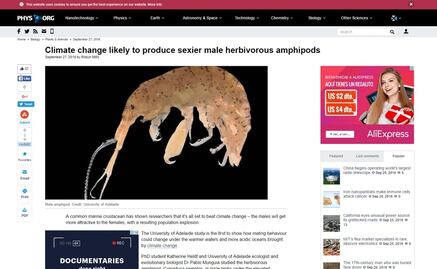 Cambio climático volvería más sexys a los crustáceos