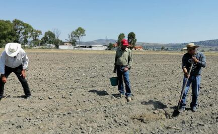 Urgen campesinos a modificar política agropecuaria por aumento en pobreza extrema