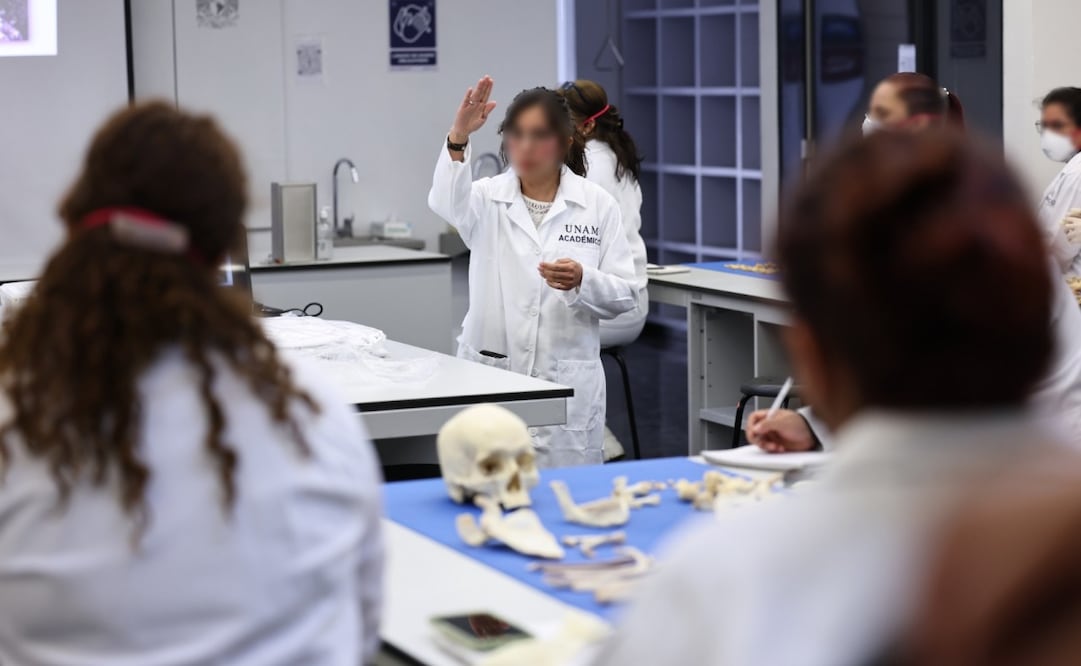 Especialistas de la UNAM brinda capacitación a personal pericial y buscadoras de personas desaparecidas.
Foto: Especial.