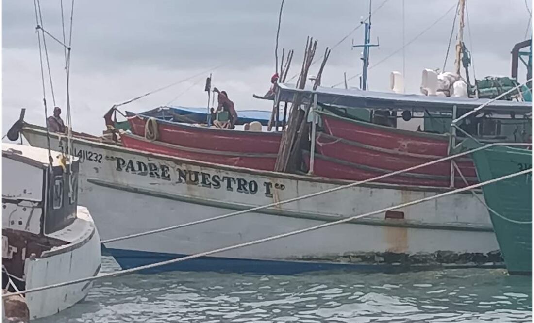 Reactivan pesca de pulpo en Yucatán tras paso del huracán "Milton"; sector pesquero en incertidumbre por alejamiento del molusco | El Universal