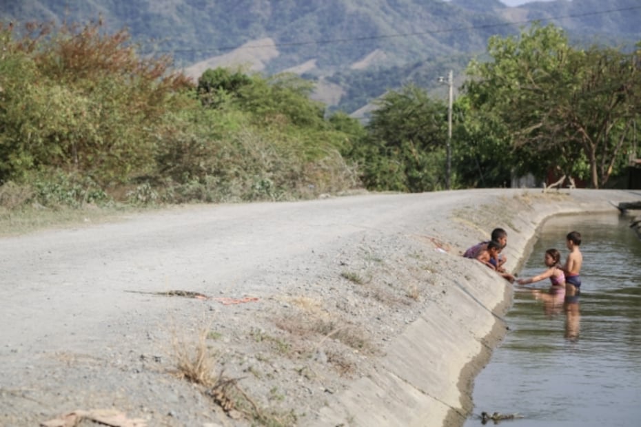 Michoacán, una comunidad en armas para plantar plátanos