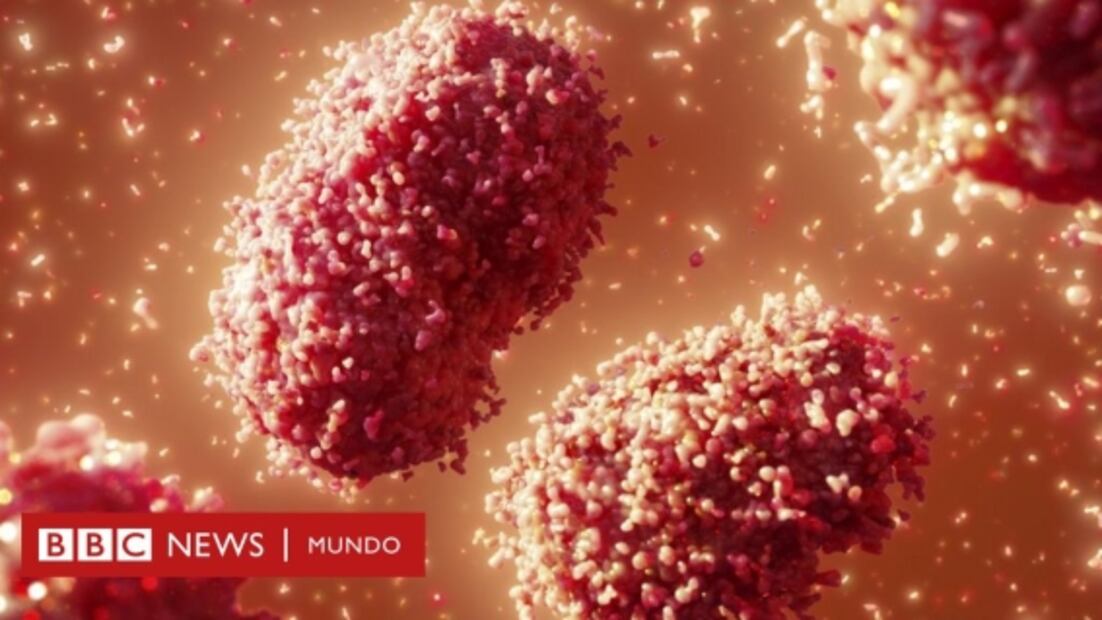 ¿Qué significa que la OMS declare emergencia internacional al brote por la viruela del mono?