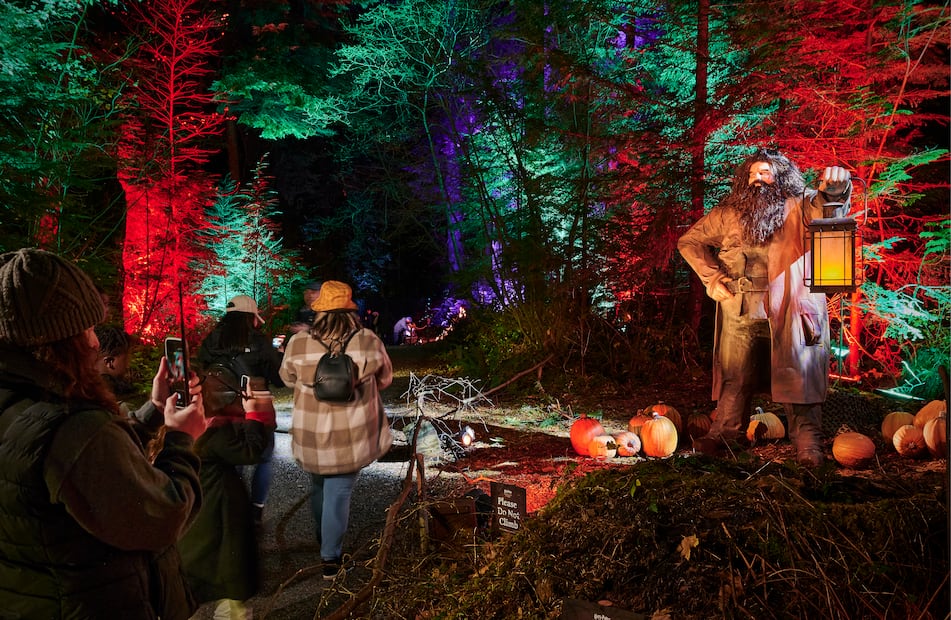 Recorre por la noche un bosque lleno de criaturas mágicas de Harry Potter cerca de la CDMX. Foto: Cortesía Fever