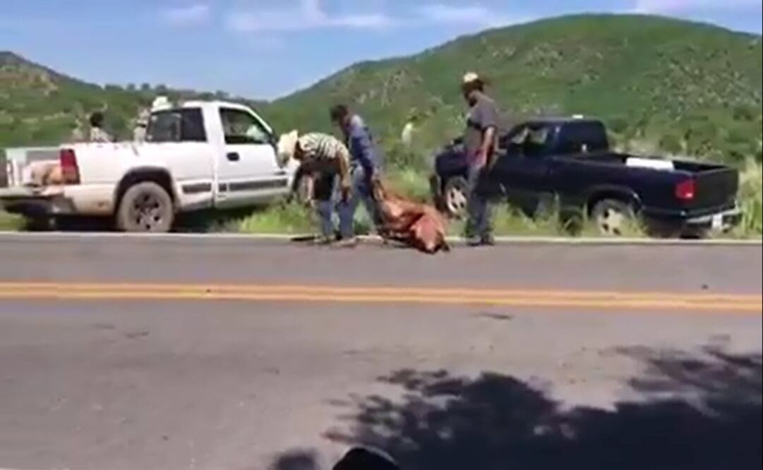 Foto: Captura de video